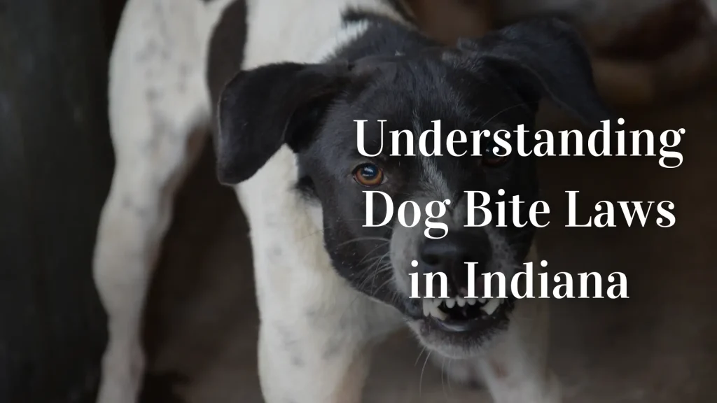 Understanding Dog Bite Laws in Indiana Image